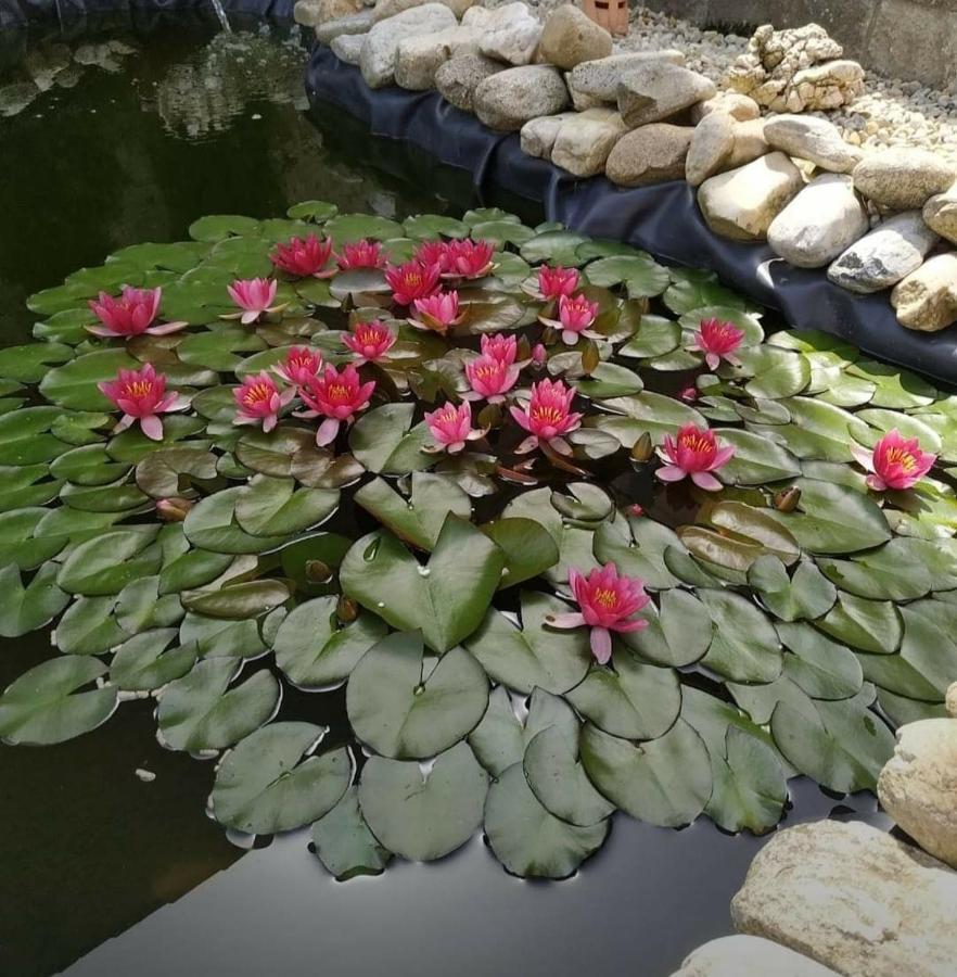 Ubytovani V Plumlove Ngoại thất bức ảnh